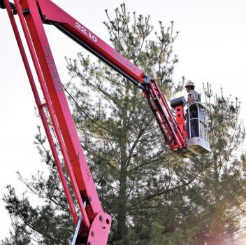  Profile Photos of Arthur Ratliff Tree and Stump Removal LLC 8025 S High Point Ln - Photo 3 of 4