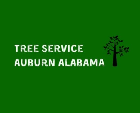 Profile Photos of Tree Service Auburn Alabama 925 Gentry Dr - Photo 1 of 1