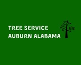 Tree Service Auburn Alabama, Auburn