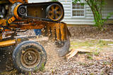 Tree Service Auburn Alabama, Auburn
