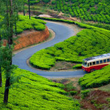 https://makeourmoments.com/, Make Our Moments, Ernakulam,  Kochi