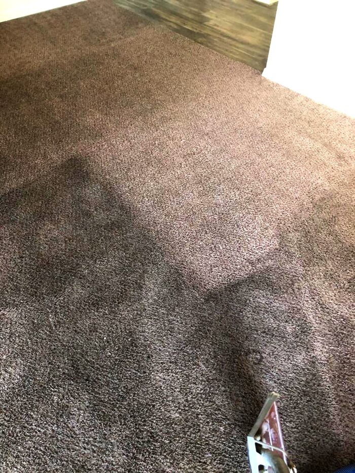  New Album of Corona Carpet Cleaning LLC Goodyear - Photo 3 of 7