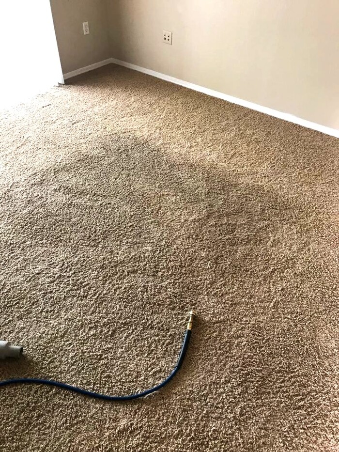  New Album of Corona Carpet Cleaning LLC Goodyear - Photo 2 of 7