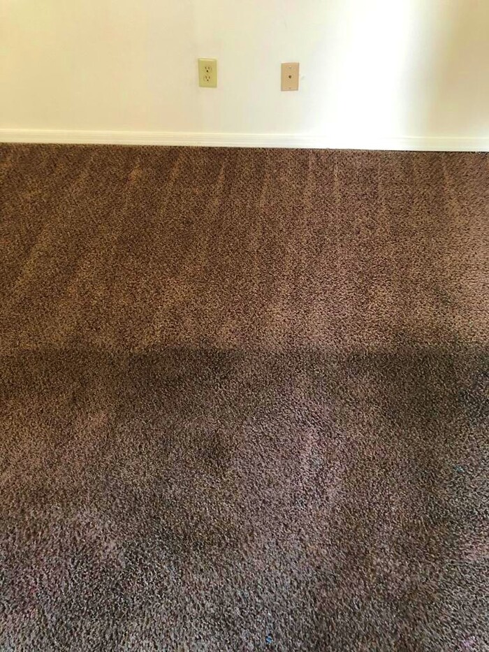  New Album of Corona Carpet Cleaning LLC Goodyear - Photo 7 of 7