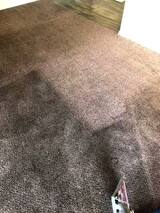  Corona Carpet Cleaning LLC Goodyear 
