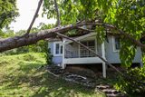  Atascadero Tree Service 6165 Portola Rd 