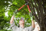  Atascadero Tree Service 6165 Portola Rd 