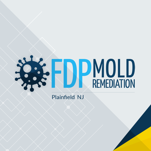  Profile Photos of FDP Mold Remediation | Mold Remediation Plainfield 1355 W Front St - Photo 1 of 1