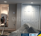 FDP Mold Remediation | Mold Remediation Plainfield, Plainfield