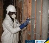 FDP Mold Remediation | Mold Remediation Plainfield, Plainfield