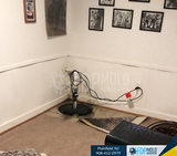FDP Mold Remediation | Mold Remediation Plainfield, Plainfield