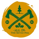 All In Tree Service, Woodstock
