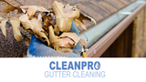Clean Pro Gutter Cleaning Humble, Humble