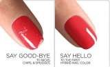 Shellac Enchanting Beauty Mobile Beauty & Holistic Therapist Mobile Beauty & Holistic Therapist 