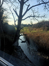 IL TORRENTE RESTAURANT, Benfleet