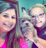 Jimmie Davis Animal Hospital, Bossier City