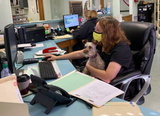 Jimmie Davis Animal Hospital, Bossier City