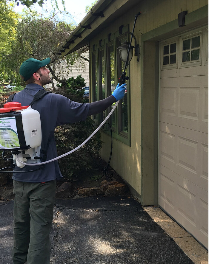  Profile Photos of Elk Grove Exterminators 8809 Compass Ct. - Photo 2 of 4