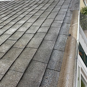 New Album of Clean Pro Gutter Cleaning Oakland 671 11th St #73 - Photo 2 of 3