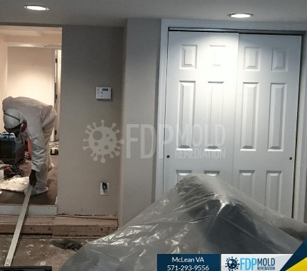  Profile Photos of FDP Mold Remediation | Mold Remediation McLean 8231 Crestwood Heights Dr - Photo 2 of 2