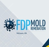  FDP Mold Remediation | Mold Remediation McLean 8231 Crestwood Heights Dr 