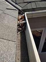 Clean Pro Gutter Cleaning Riverside, Riverside