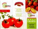 Menus & Prices, Only Falafel, Edison