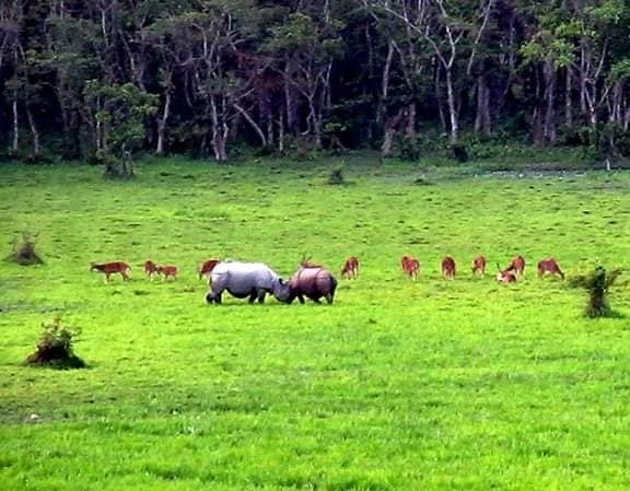  New Album of Dooars Tour Packages Plan Price 4 5 Days Nights | TAB Hotels thakurpukur road - Photo 3 of 5