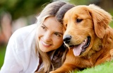 Perrysburg Animal Care, Perrysburg