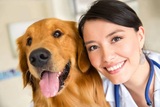 Perrysburg Animal Care, Perrysburg