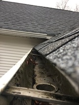 Clean Pro Gutter Cleaning Waterbury, Waterbury