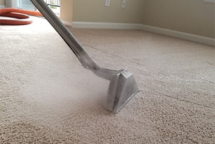  New Album of Carpet Cleaning Liverpool 20 Maryvale Ave - Photo 3 of 4