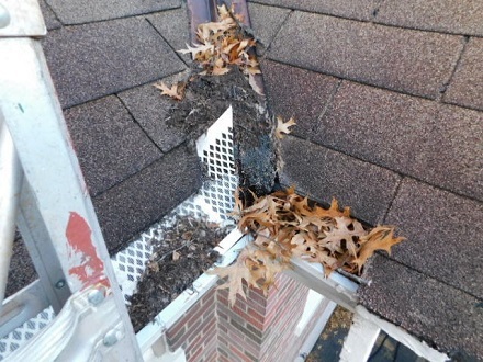  New Album of Clean Pro Gutter Cleaning Greensburg 629 Lynn St - Photo 3 of 3