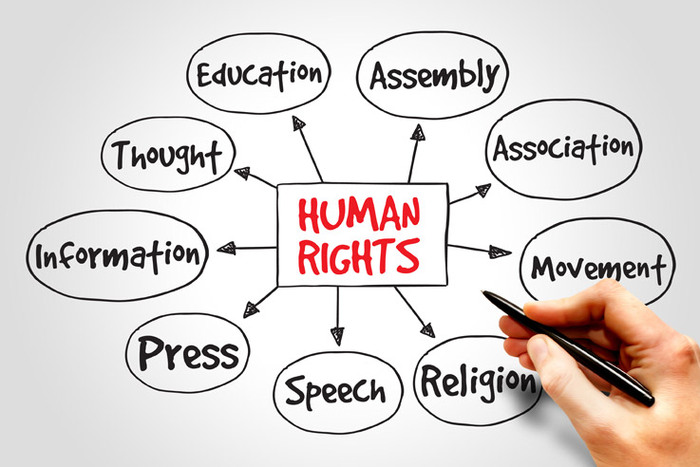 Human Rights Our Services of Oracle Legal Services 40 Wynford drive - Photo 10 of 15