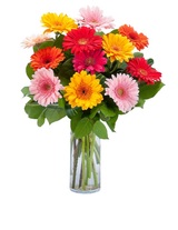 Abbott Florist, Turnersville