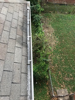  New Album of Clean Pro Gutter Cleaning Fairfax 4007 East St - Photo 1 of 3