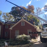 Certified Arborist Alpharetta, Alpharetta
