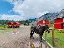 Warner Stables - Banff Trail Riders, Banff