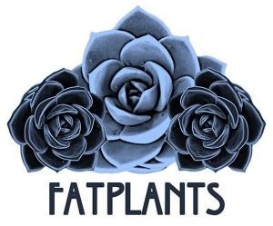  Profile Photos of Fat Plants (Not Open to the Public) Twain Avenue, Suite A - Photo 1 of 4
