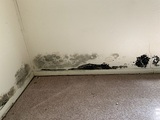 Precision Environmental Services, Flower Mound