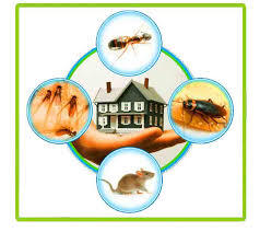  Profile Photos of Pest Control Sydney 109 Pitt St - Photo 1 of 7