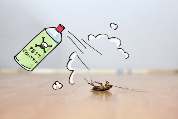  Profile Photos of Pest Control Sydney 109 Pitt St - Photo 2 of 7