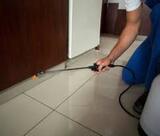 Pest Control Sydney, Sydney