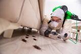 Pest Control Sydney, Sydney