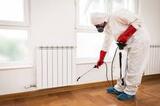 Pest Control Sydney, Sydney