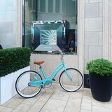  Ferla Bikes 895 N Todd Ave 