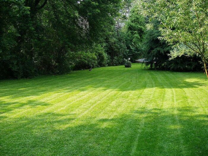  New Album of LawnWorx 285 East Oak Ridge Road - Photo 5 of 7