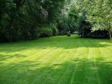 LawnWorx, Orlando