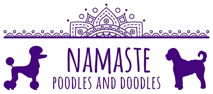  Profile Photos of Namaste Poodles and Doodles Serving - Photo 1 of 1