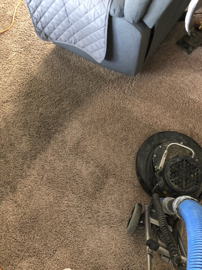  Profile Photos of Silver Olas Carpet Tile Flood Cleaning 101 Copperwood Way Suite M - Photo 33 of 33